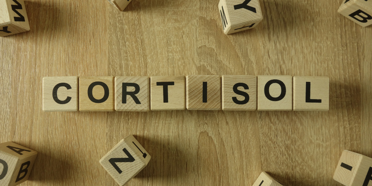 Cortisol, stress and your nervous system: what’s actually going on?