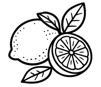 REFRESHINGLY ZESTY