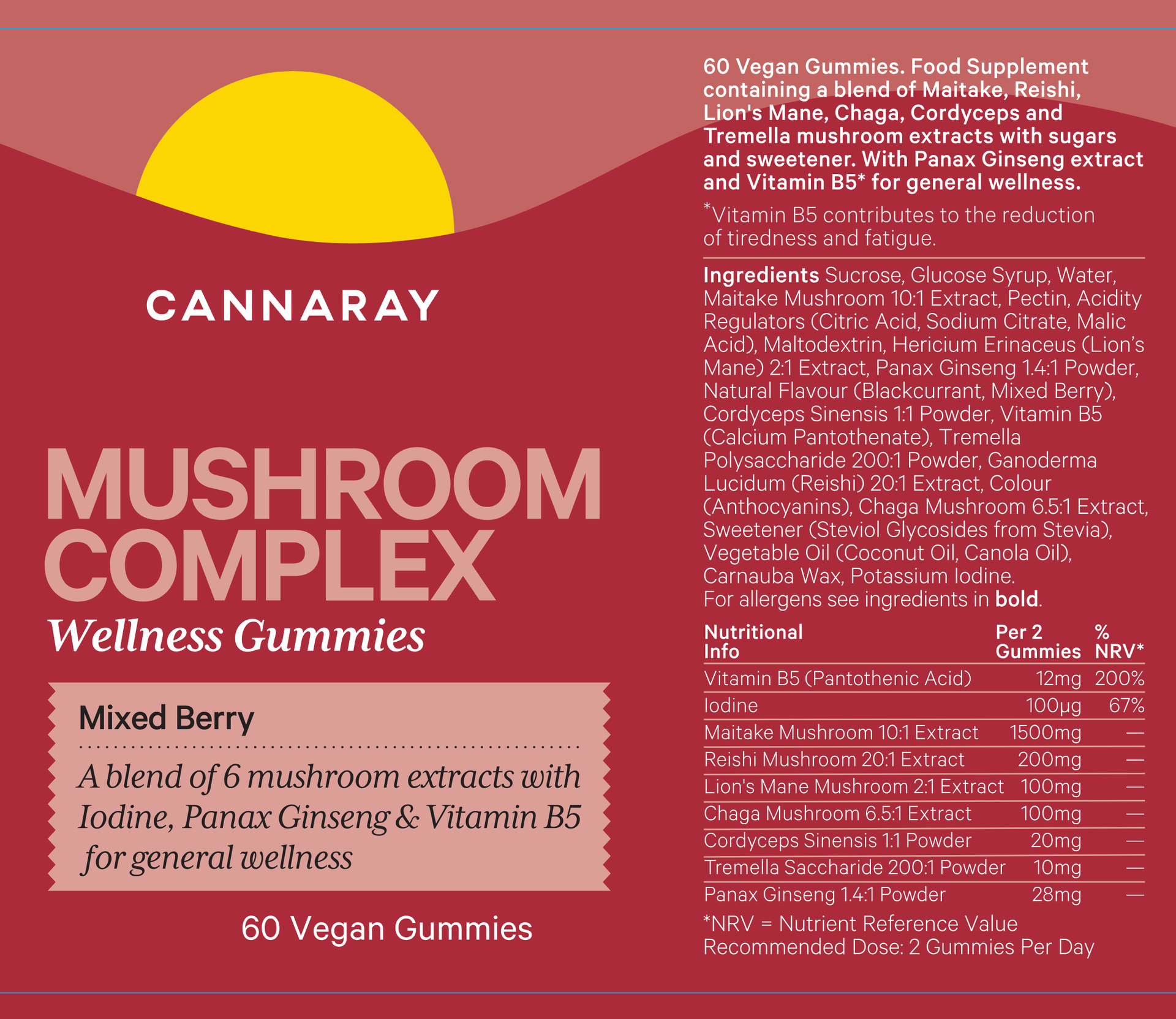 Mixed Berry Mushroom Complex Gummies