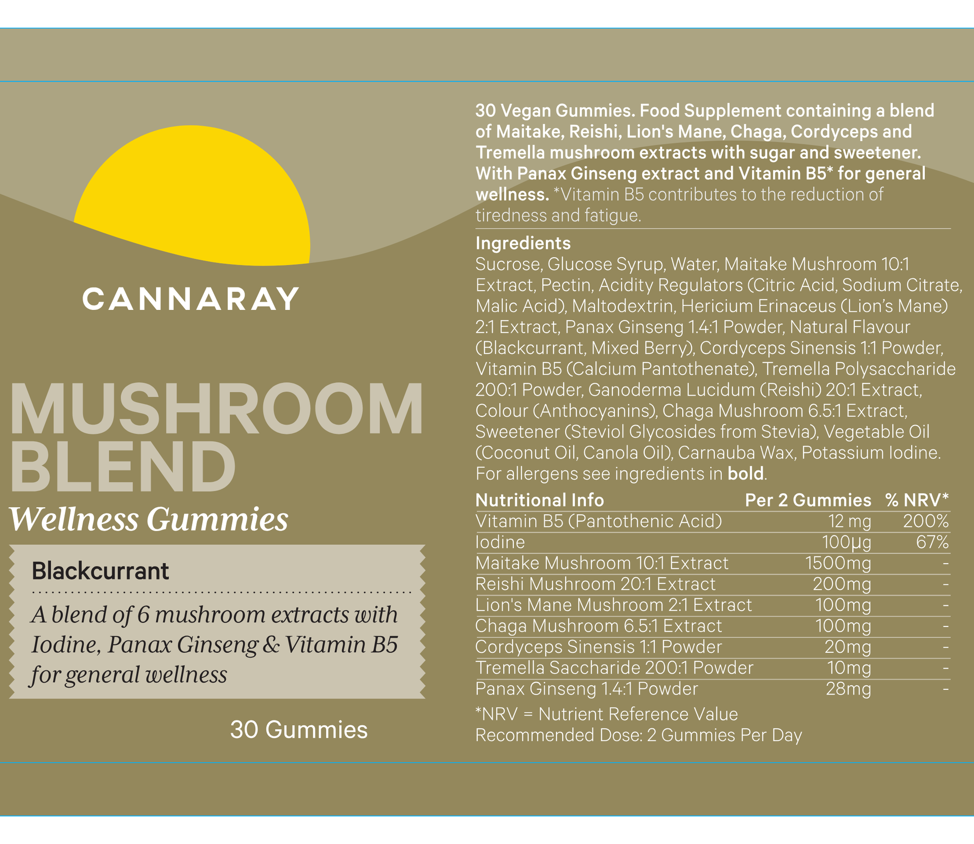 Blackcurrant Mushroom Blend Gummies