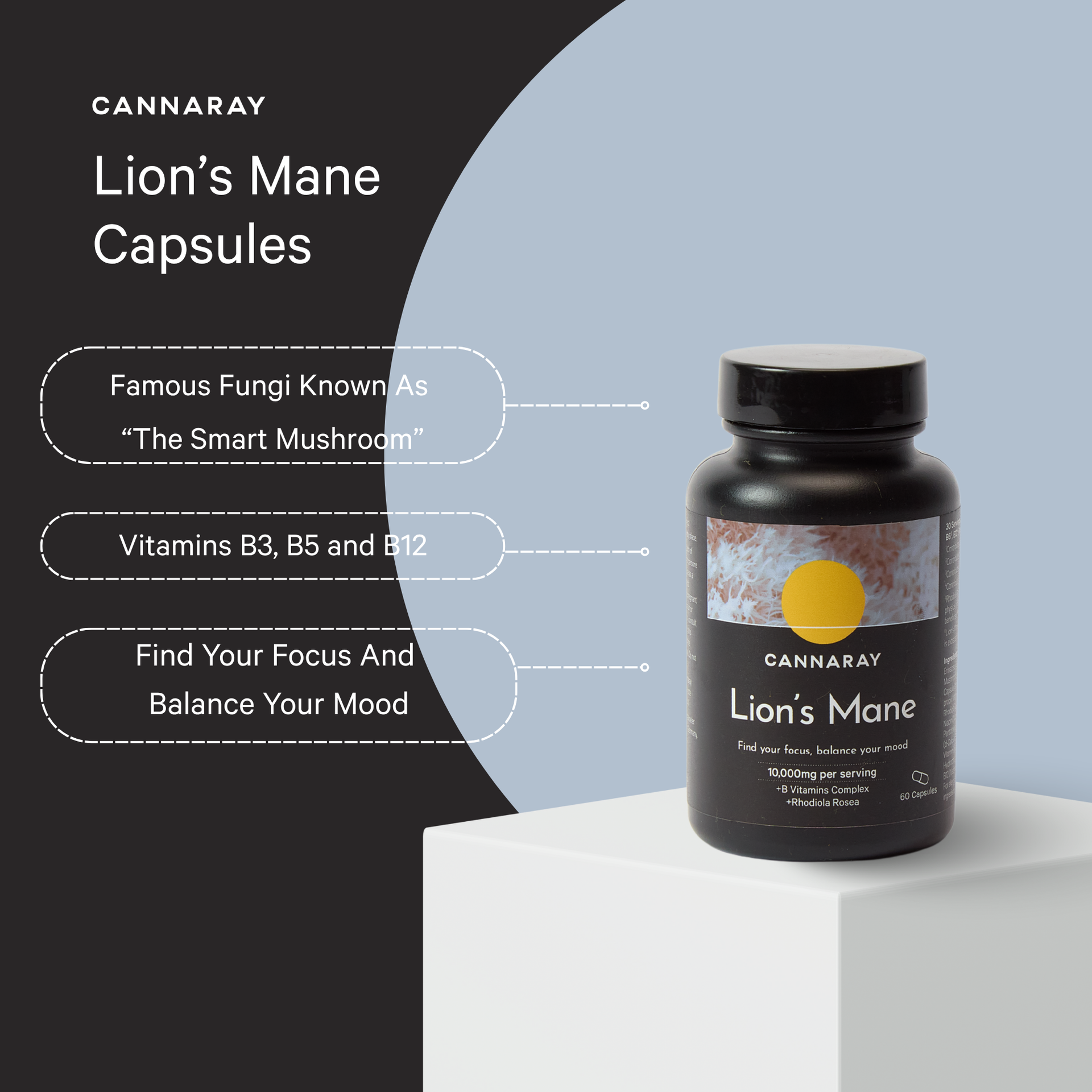 lions mane and acetyl l-carnitine hcl Lion's Mane: A Natural Ally for Enhanced Focus, Memory, Mood Energy Brain Booster: Lion's Mane,