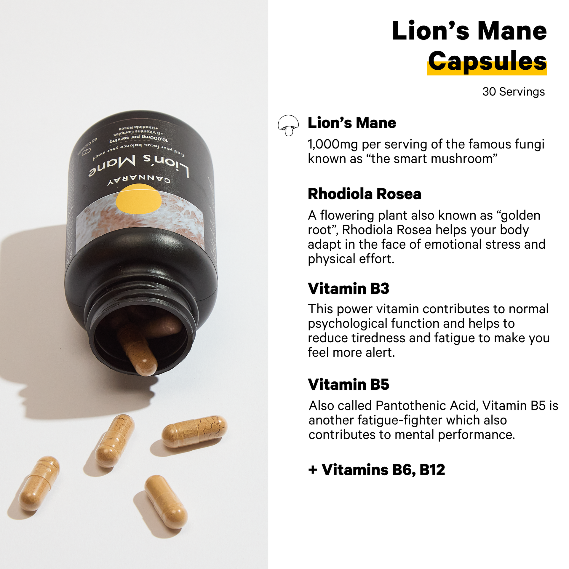 Lion’s Mane Capsules