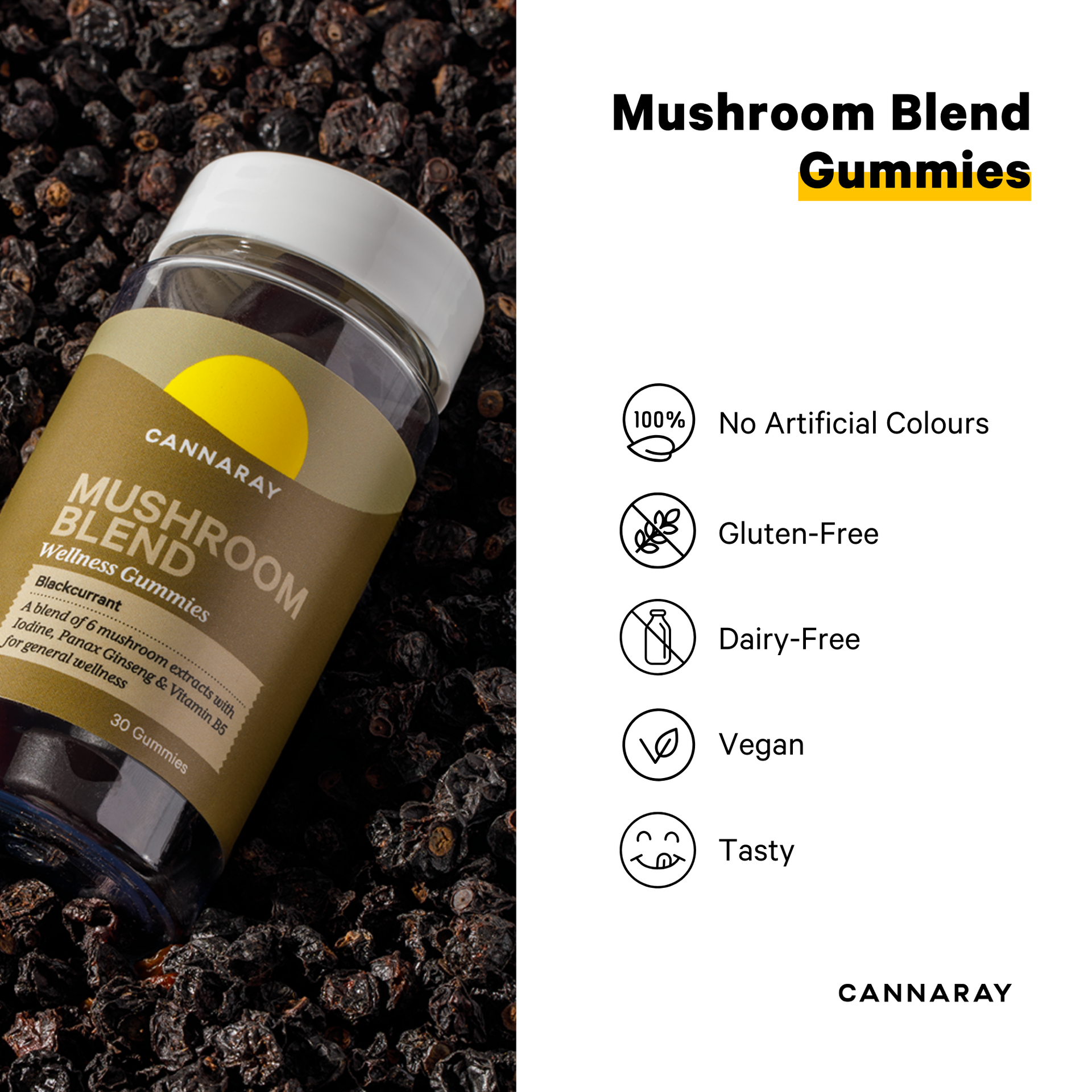 Blackcurrant Mushroom Blend Gummies