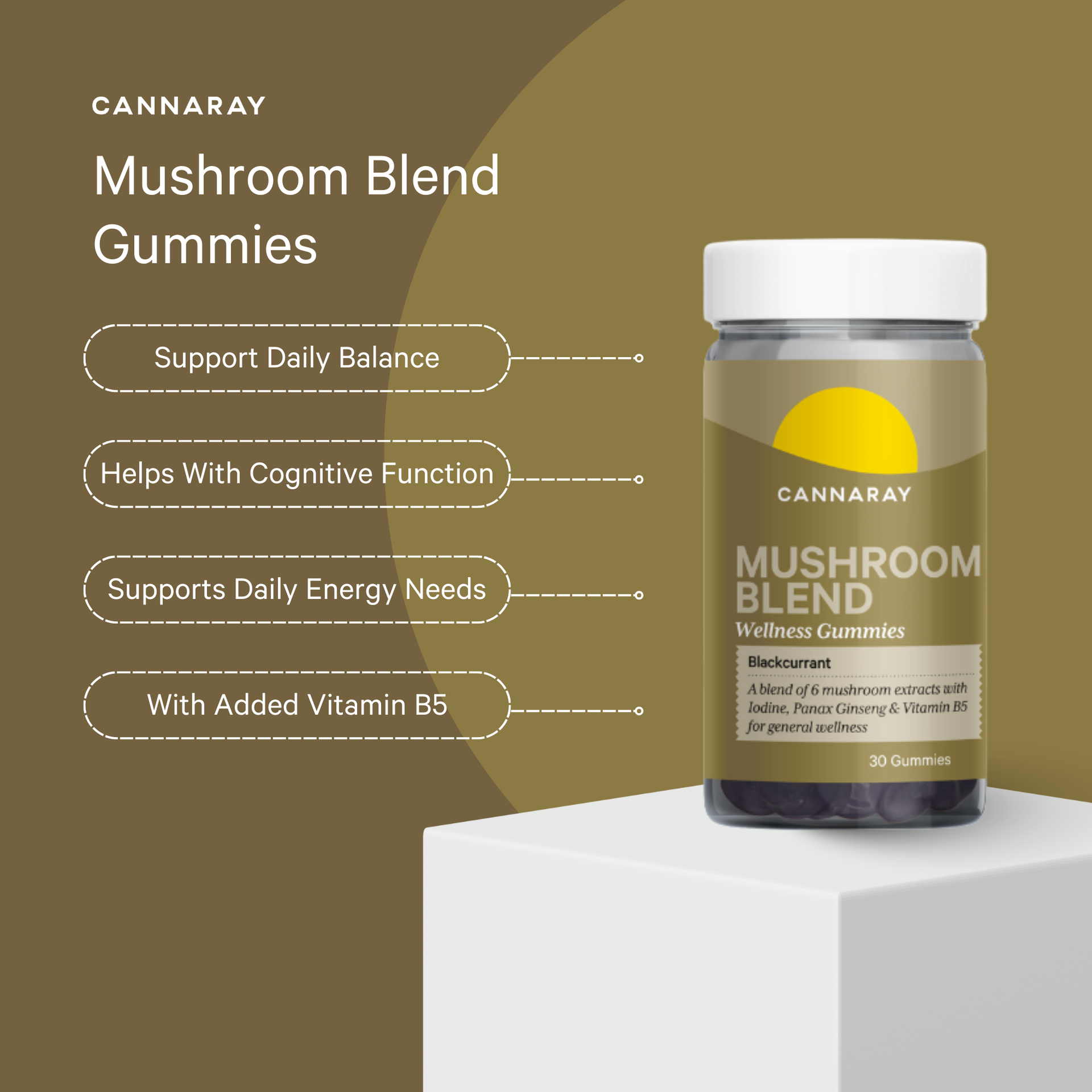 Blackcurrant Mushroom Blend Gummies