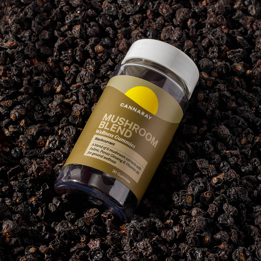 Blackcurrant Mushroom Blend Gummies