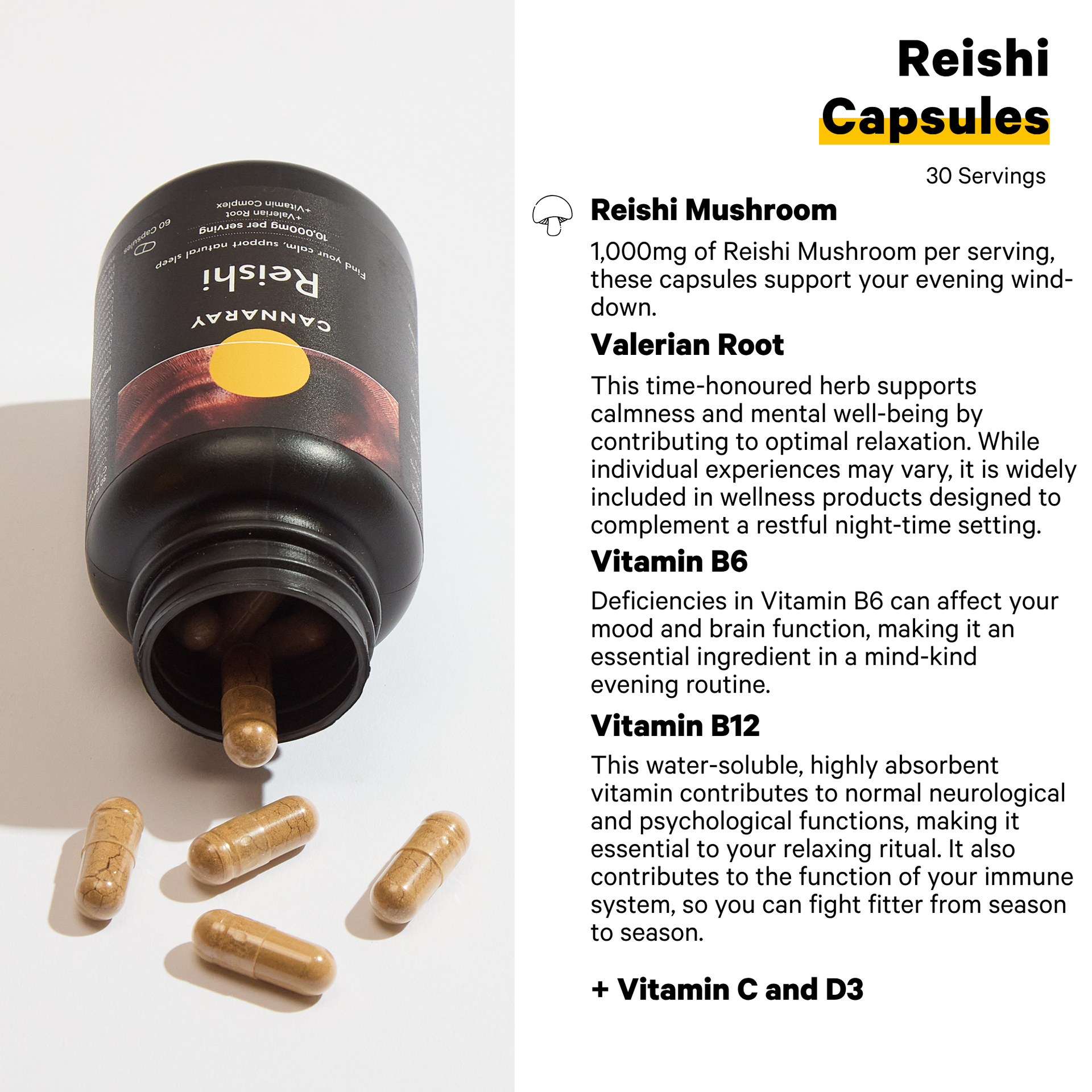 Reishi Mushroom Capsules