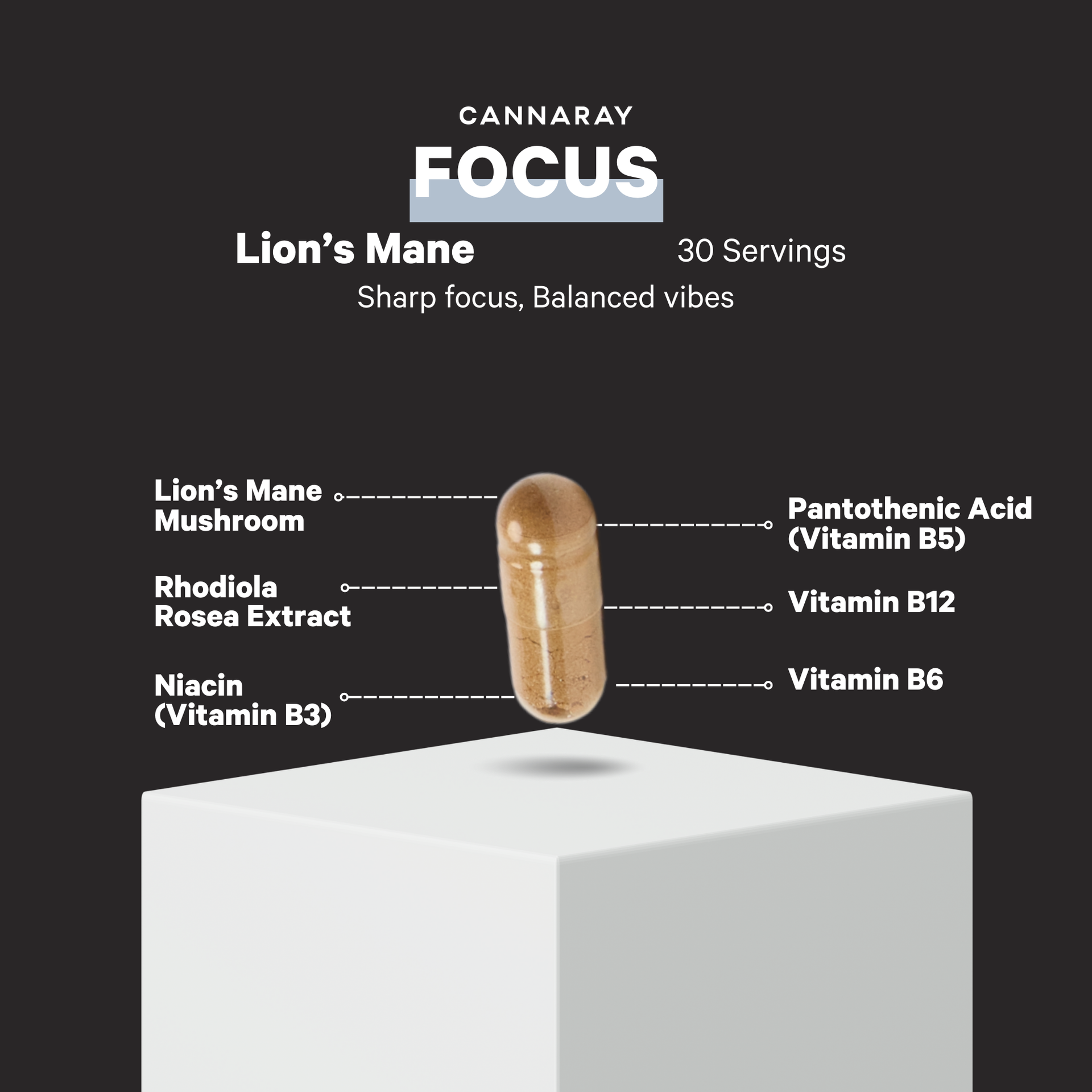 Lion’s Mane Capsules
