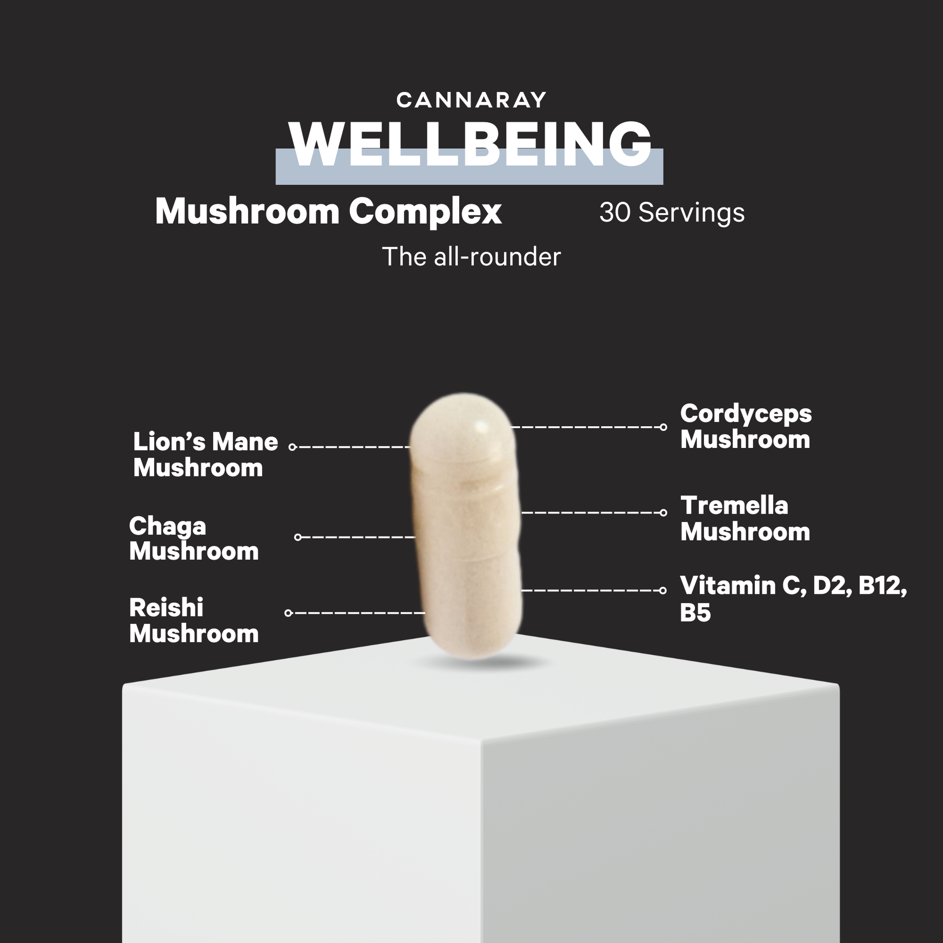 Mushroom Complex Capsules