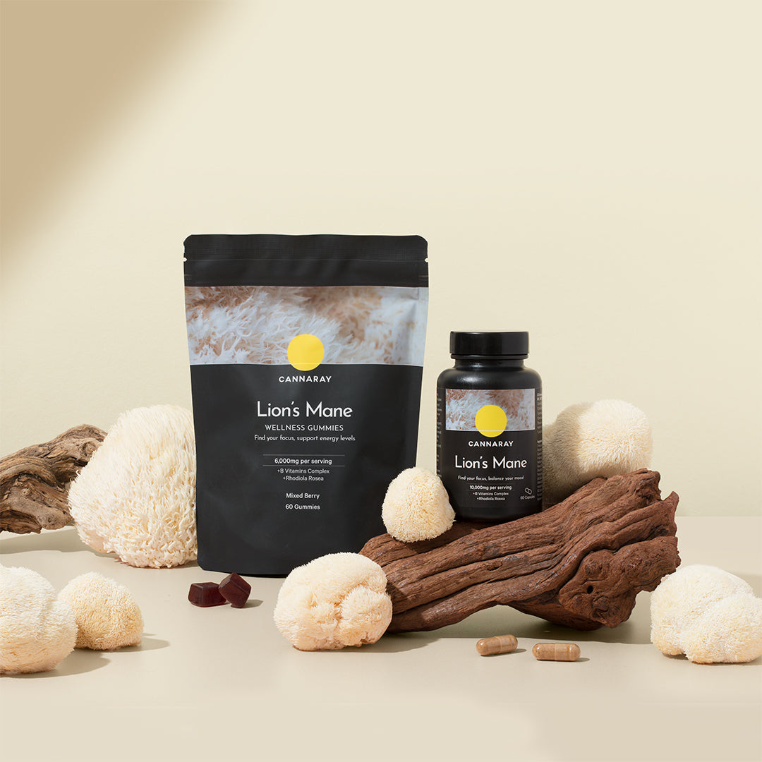 Lion’s Mane Gummies