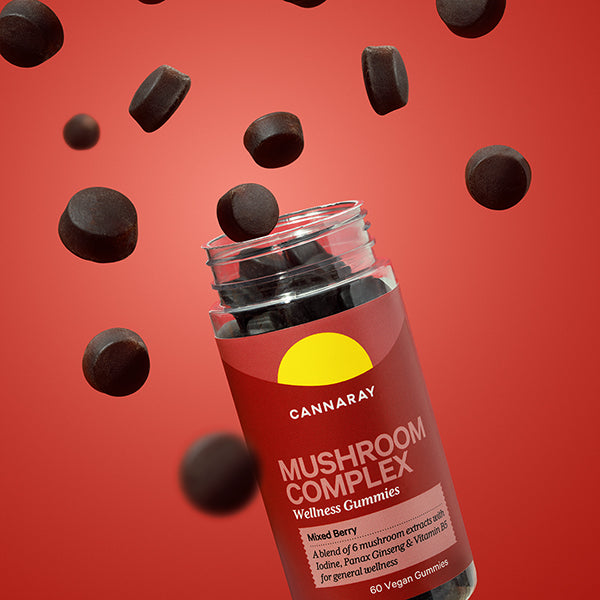 Mixed Berry Mushroom Complex Gummies